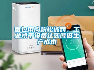 行業新聞面包用肉粉松被罰，工業烘干設備讓您降低生產成本