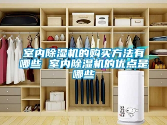 行業(yè)新聞室內(nèi)除濕機的購買方法有哪些 室內(nèi)除濕機的優(yōu)點是哪些
