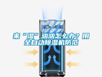 常見問題來“濕”洶洶怎么辦？用全自動(dòng)除濕機(jī)防范
