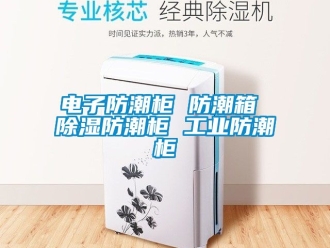 常見問(wèn)題電子防潮柜 防潮箱 除濕防潮柜 工業(yè)防潮柜