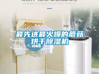 行業新聞最先進最火爆的蘑菇烘干除濕機