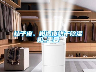 行業(yè)新聞桔子皮、柑橘皮烘干除濕機_重復