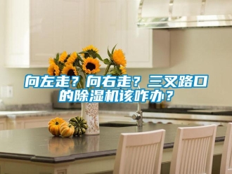 知識百科向左走？向右走？三叉路口的除濕機該咋辦？