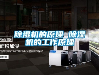 企業新聞除濕機的原理 除濕機的工作原理