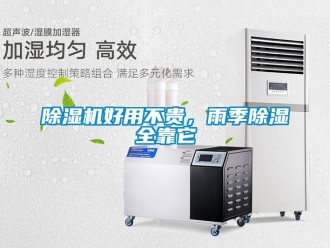 常見問題除濕機(jī)好用不貴，雨季除濕全靠它