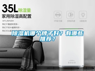 行業新聞除濕機哪個牌子好？有哪些推薦？