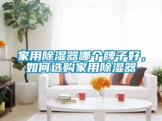 行業(yè)新聞家用除濕器哪個牌子好，如何選購家用除濕器