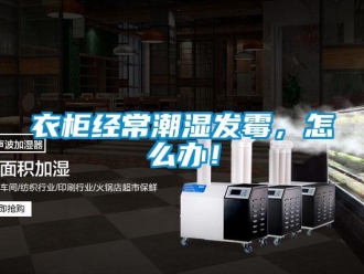 常見(jiàn)問(wèn)題衣柜經(jīng)常潮濕發(fā)霉，怎么辦！