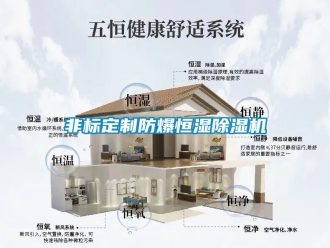 企業新聞非標定制防爆恒濕除濕機