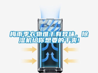 行業新聞梅雨季衣物難干有異味，除濕機給你想要的干爽!