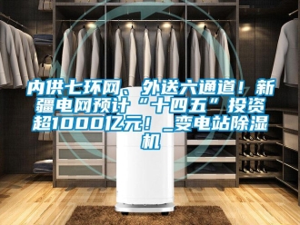行業新聞內供七環網、外送六通道！新疆電網預計“十四五”投資超1000億元！_變電站除濕機