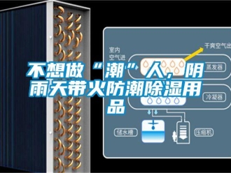 企業新聞不想做“潮”人，陰雨天帶火防潮除濕用品