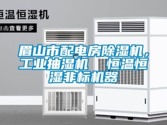常見問題眉山市配電房除濕機，工業抽濕機  恒溫恒濕非標機器