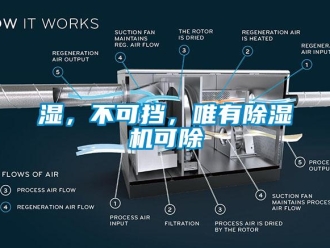 知識百科濕，不可擋，唯有除濕機可除