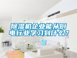 常見(jiàn)問(wèn)題除濕機(jī)企業(yè)能從廚電行業(yè)學(xué)習(xí)到什么？