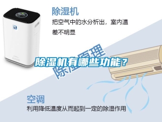 行業(yè)新聞除濕機有哪些功能？