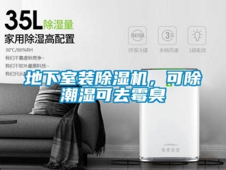 企業新聞地下室裝除濕機，可除潮濕可去霉臭