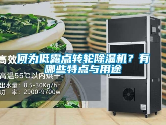 行業新聞何為低露點轉輪除濕機？有哪些特點與用途
