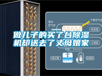 行業(yè)新聞做兒子的買了臺除濕機卻送去了丈母娘家