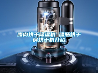 行業(yè)新聞臘肉烘干除濕機(jī) 臘腸烘干房烘干機(jī)介紹
