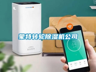 常見問題蒙特轉(zhuǎn)輪除濕機(jī)公司