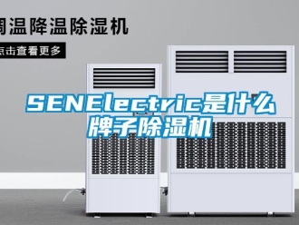 企業(yè)新聞SENElectric是什么牌子除濕機