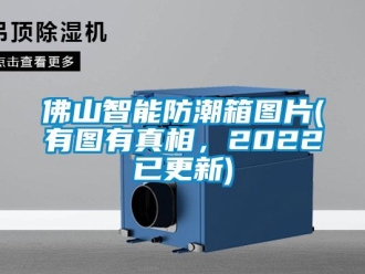常見問題佛山智能防潮箱圖片(有圖有真相，2022已更新)