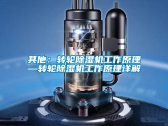 常見問題其他：轉輪除濕機工作原理—轉輪除濕機工作原理詳解
