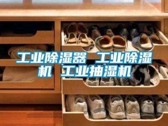 常見問題工業除濕器 工業除濕機 工業抽濕機