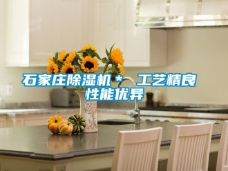 行業(yè)新聞石家莊除濕機(jī)＊ 工藝精良 性能優(yōu)異