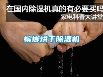 常見問題檳榔烘干除濕機(jī)
