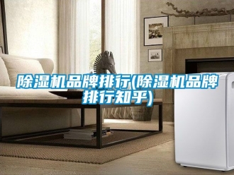 企業(yè)新聞除濕機品牌排行(除濕機品牌排行知乎)