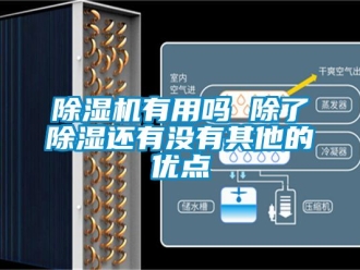 行業新聞除濕機有用嗎 除了除濕還有沒有其他的優點