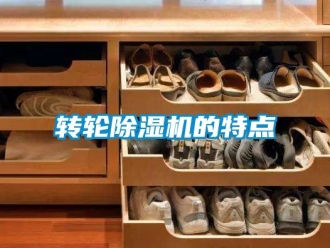 常見問題轉輪除濕機的特點