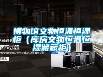 知識百科博物館文物恒溫恒濕柜（庫房文物恒溫恒濕儲藏柜）