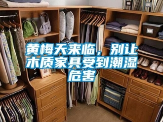 行業新聞黃梅天來臨，別讓木質家具受到潮濕危害