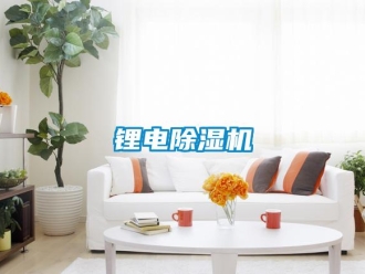 行業(yè)新聞鋰電除濕機(jī)