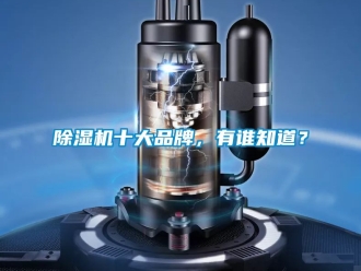 企業(yè)新聞除濕機十大品牌，有誰知道？