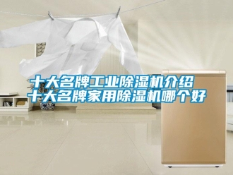 常見問(wèn)題十大名牌工業(yè)除濕機(jī)介紹 十大名牌家用除濕機(jī)哪個(gè)好