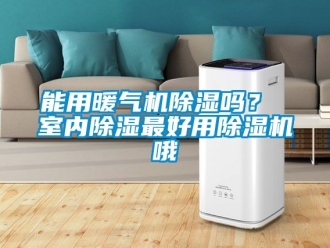 行業(yè)新聞能用暖氣機(jī)除濕嗎？ 室內(nèi)除濕最好用除濕機(jī)哦