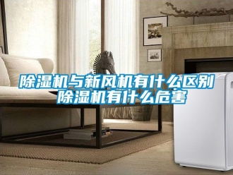 常見問題除濕機(jī)與新風(fēng)機(jī)有什么區(qū)別 除濕機(jī)有什么危害