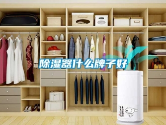 行業(yè)新聞除濕器什么牌子好