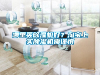 行業新聞哪里買除濕機好？淘寶上買除濕機需謹慎