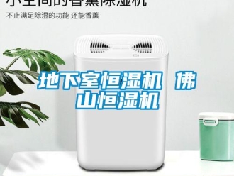 知識百科地下室恒濕機 佛山恒濕機