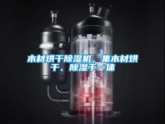 行業(yè)新聞木材烘干除濕機，集木材烘干、除濕于一體