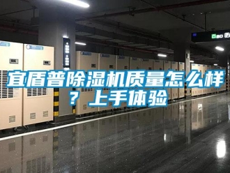 行業(yè)新聞宜盾普除濕機(jī)質(zhì)量怎么樣？上手體驗(yàn)