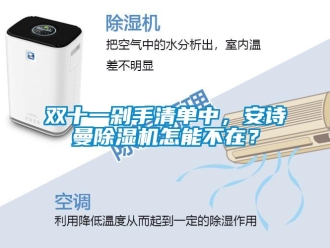 企業(yè)新聞雙十一剁手清單中，安詩曼除濕機(jī)怎能不在？