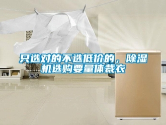 知識百科只選對的不選低價的，除濕機選購要量體裁衣