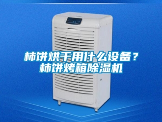 行業(yè)新聞柿餅烘干用什么設備？柿餅烤箱除濕機