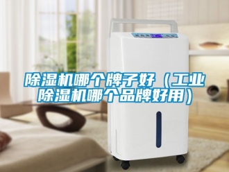 常見問題除濕機哪個牌子好（工業除濕機哪個品牌好用）